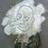 45260177@vkontakte
