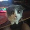 110656358328791065121@google