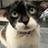 671380972@vkontakte