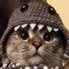 109130277105344241594@google