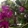 431719593@vkontakte