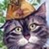86903213@vkontakte