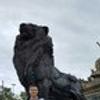 21421913@vkontakte