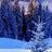 684556382@vkontakte