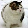 108443540169253490971@google