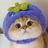 109160378817952629119@google