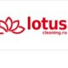 LotusCleaning