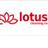 LotusCleaning