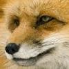 108047204272566271487@google