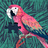 116085653260546386827@google