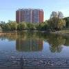 12398585708937759058@mailru