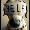 114139202500926640325@google