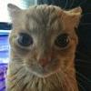 102524704141535964386@google