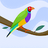 118137981841170533529@google