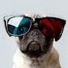 104732347957215198525@google