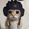 115969559426062076532@google