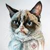 102952996521378515384@google