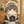 101146064682749390127@google