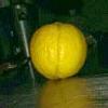 111782457320389600092@google