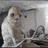 Miron_23