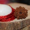9MukhiRudraksha