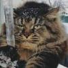 Алексей З vkontakte98293873