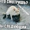 Петя Гелич