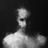SwanBlack55433