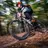 Алексей Осипов yandex35720616