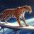 Observant_Jaguar