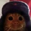 Дмитрий Дмитриев vkontakte50066203