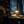 istorik-polnoch