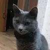 Владислав Гущин