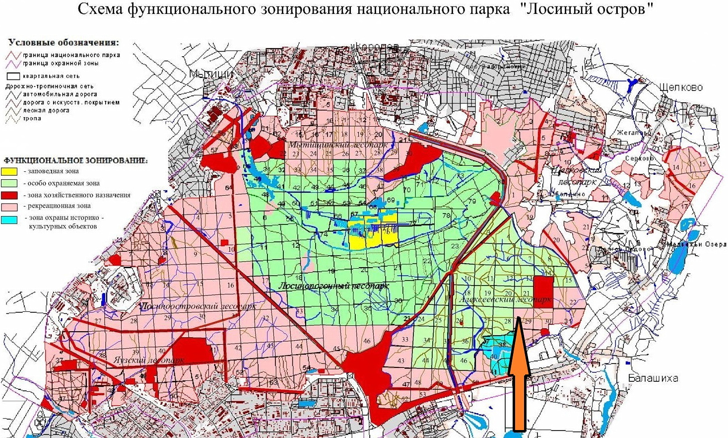 Национальный парк «Лосиный Остров» (московская часть). Полная инструкция по  применению / Путешествия и туризм / iXBT Live