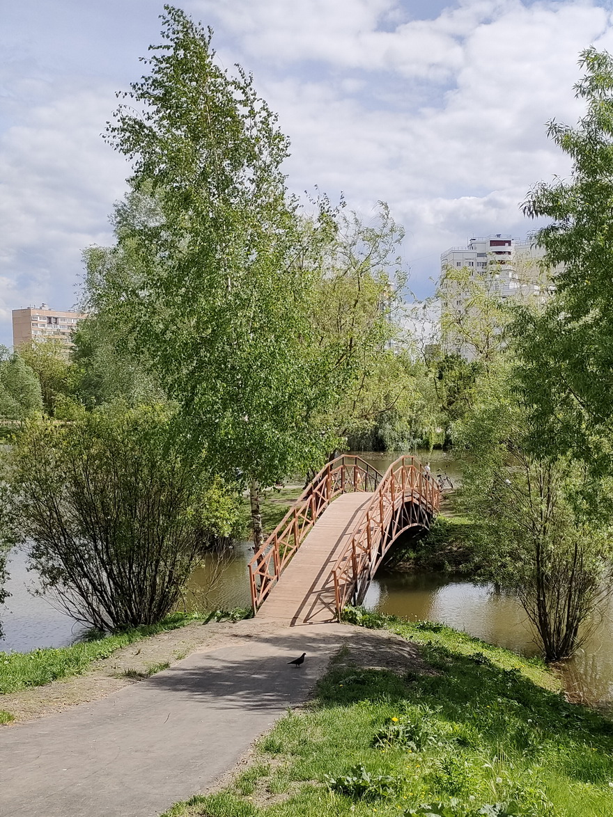 Национальный парк «Лосиный Остров» (московская часть). Полная инструкция по  применению / Путешествия и туризм / iXBT Live