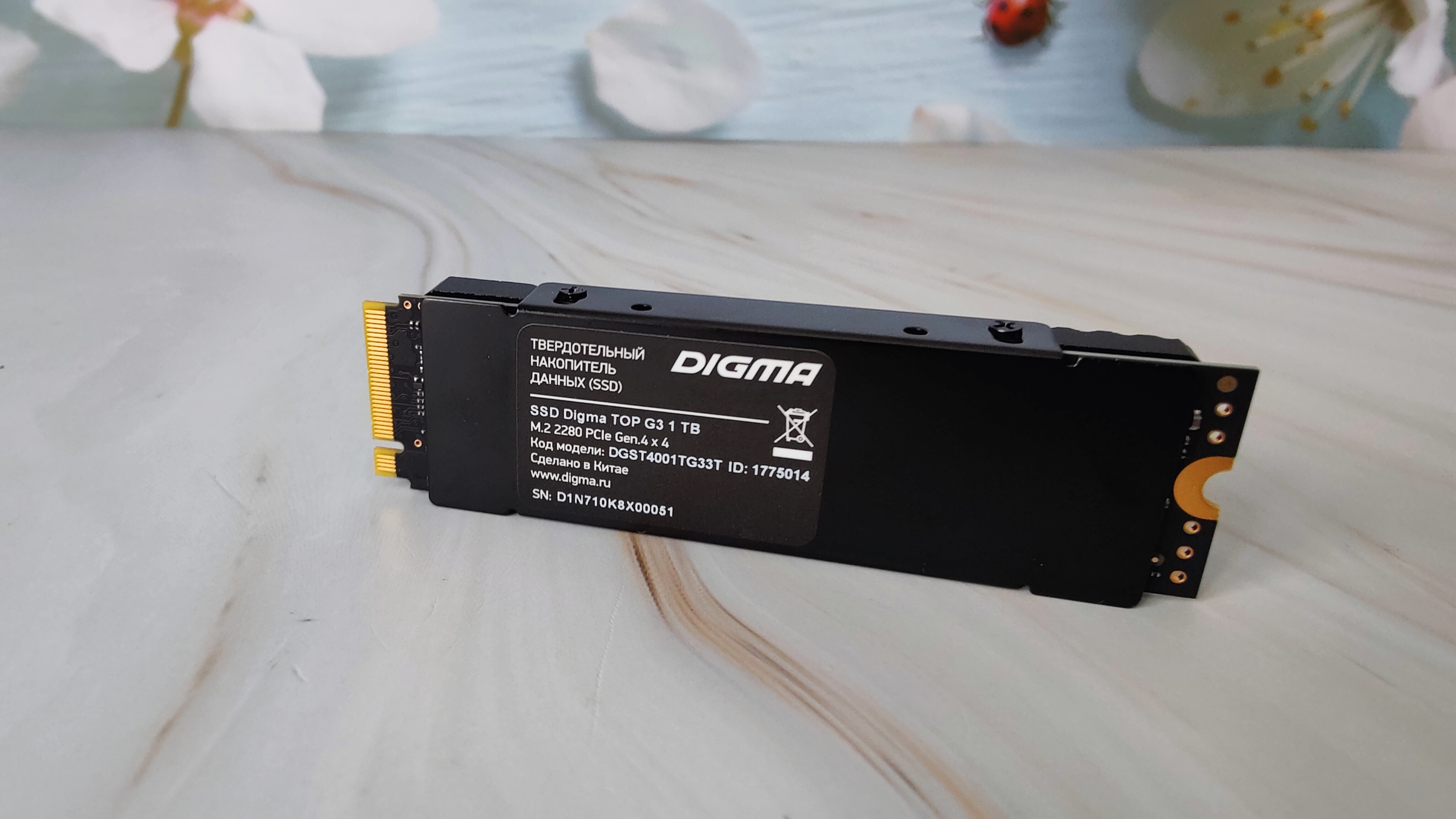 Как установить SSD в PlayStation 5 на примере накопителя Digma Top G3.  Тестирование, замеры производительности / HDD, SSD, флешки, прочие носители  информации / iXBT Live