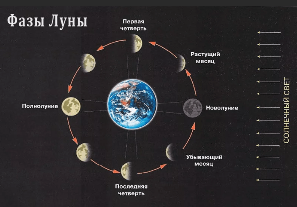 Нарисуйте схему относительного положения солнца земли и луны в новолуние