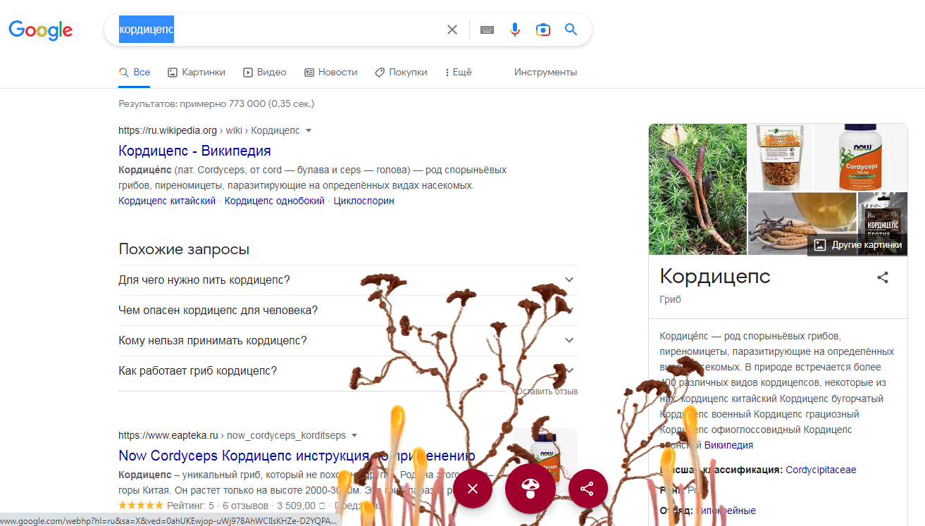 В поисковике Google обнаружили очередную 