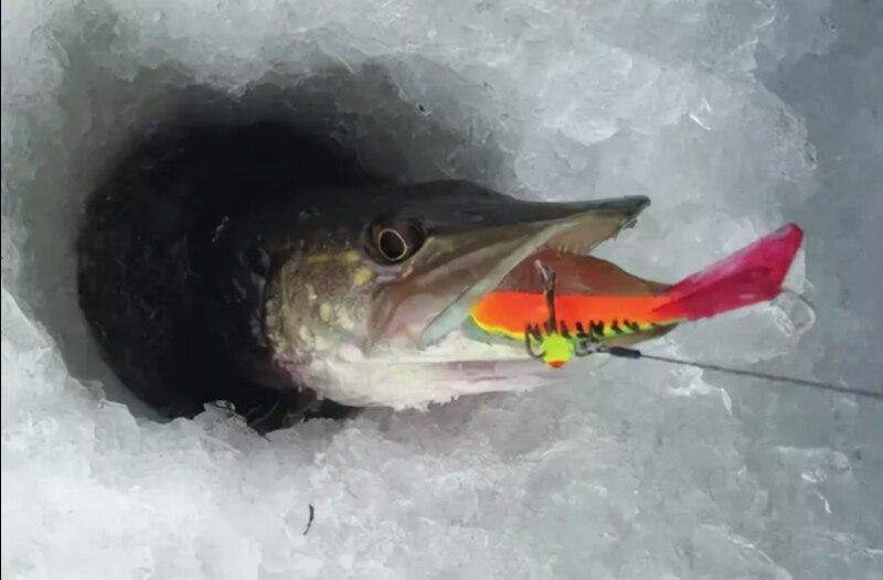 зимняя рыбалка ловля щуки на балансир
