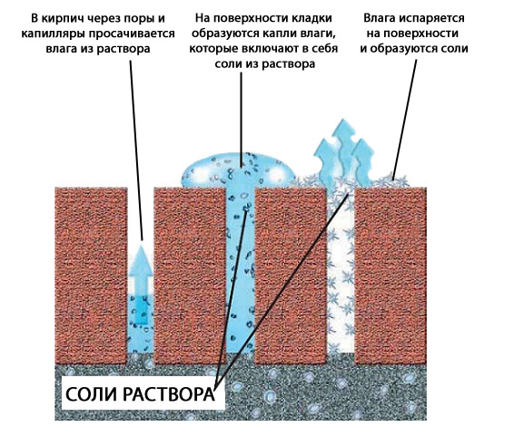 Как убрать высолы с облицовочного кирпича и белый налет