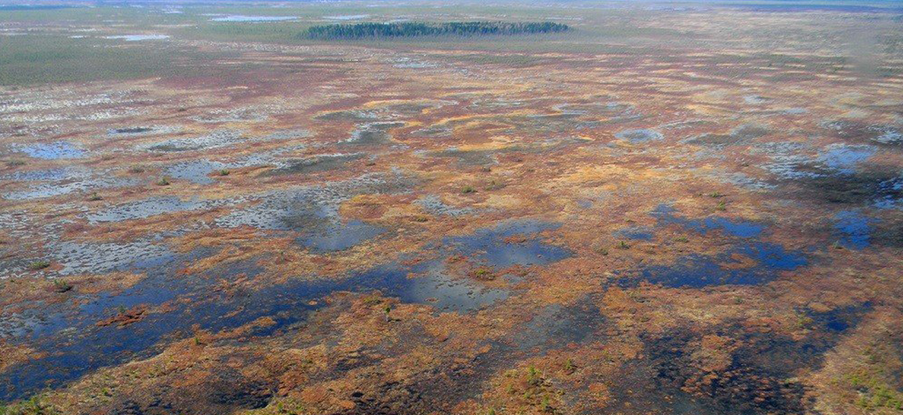 Болото с высоты. Западно Сибирская равнина Васюганское болото. Васюганские болота торф. Болото Васюганские болота.