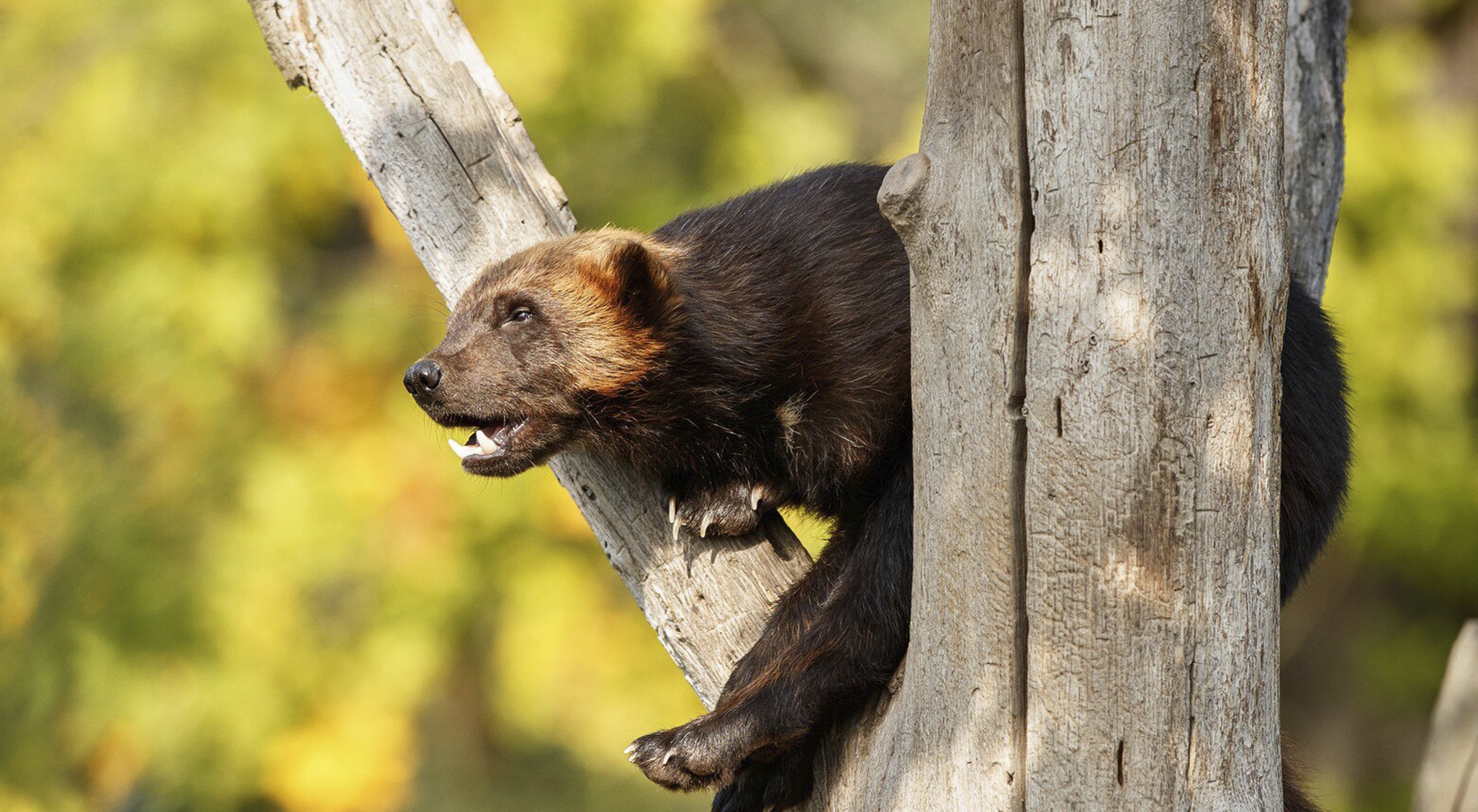 Soqolsiz anal porno Eng yaxshi jinsiy aloqa sinfini tomosha qiling