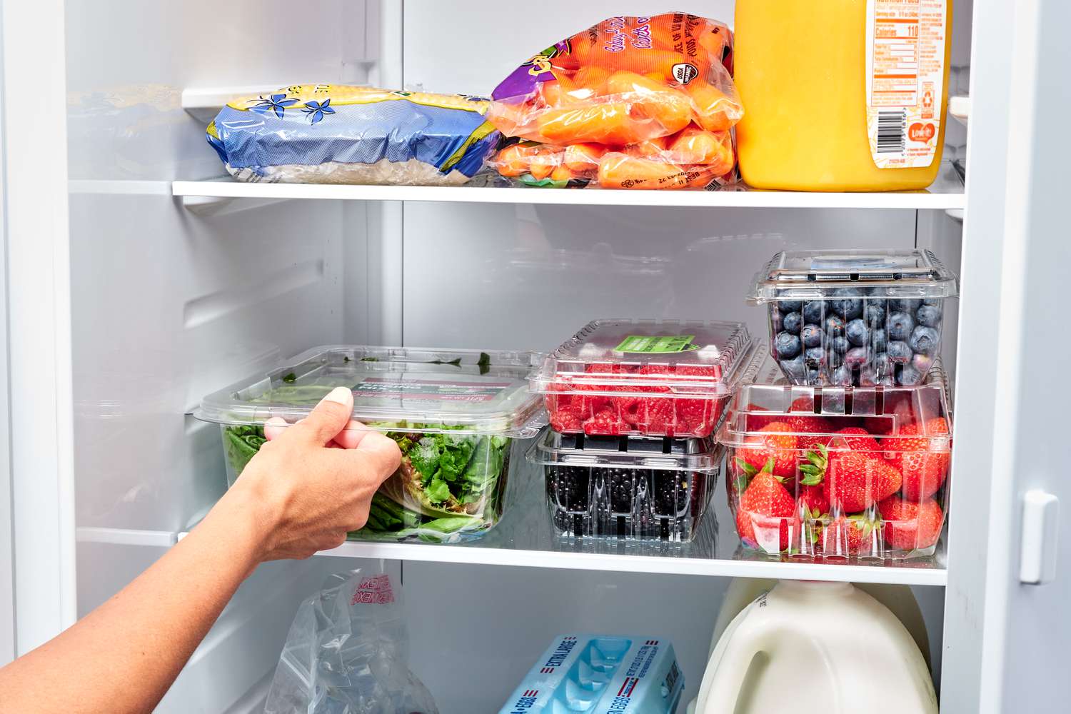 Какой холодильник лучше: Ноу фрост или капельный, в чем разница и какой выбрать