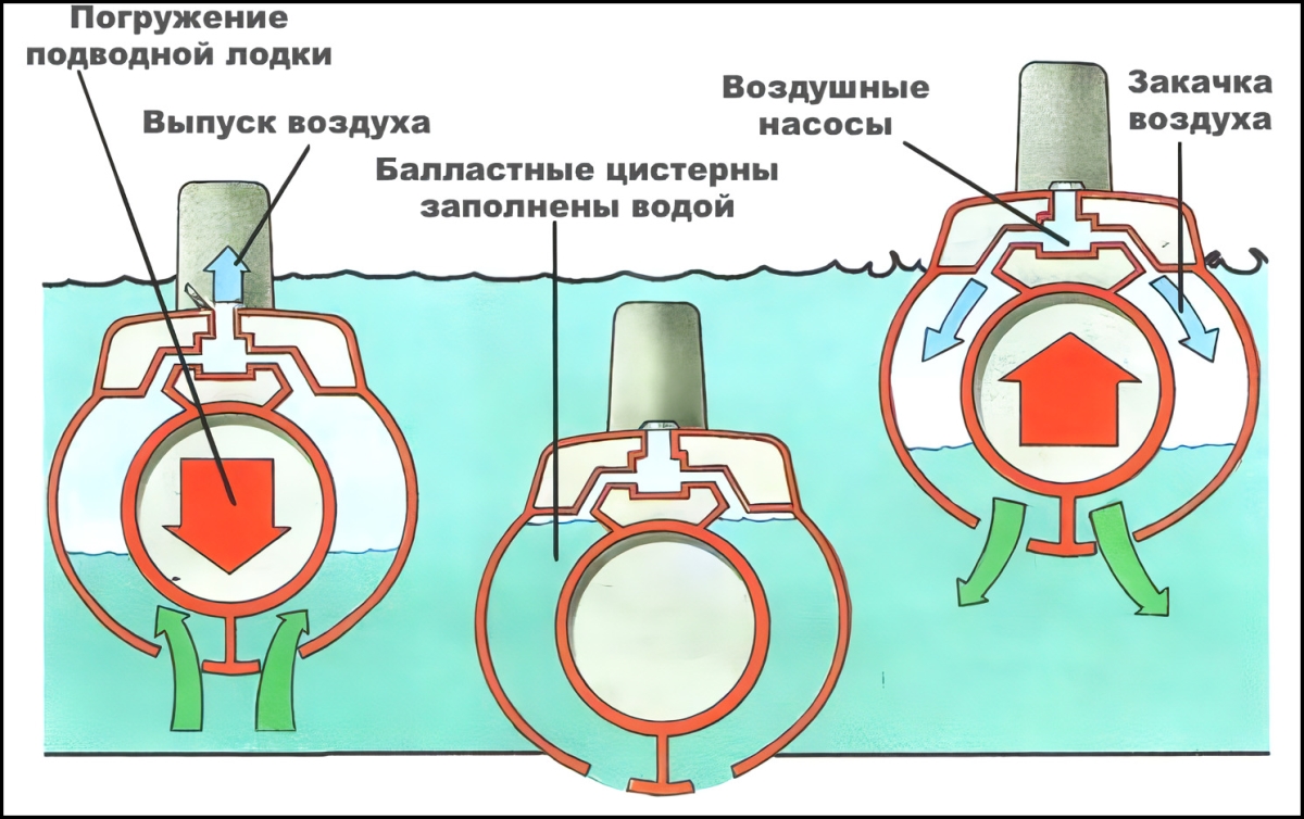 Почему рыбы не тонут в воде, какой подарок мы от них получили и при чём  здесь подводная лодка / Оффтопик / iXBT Live