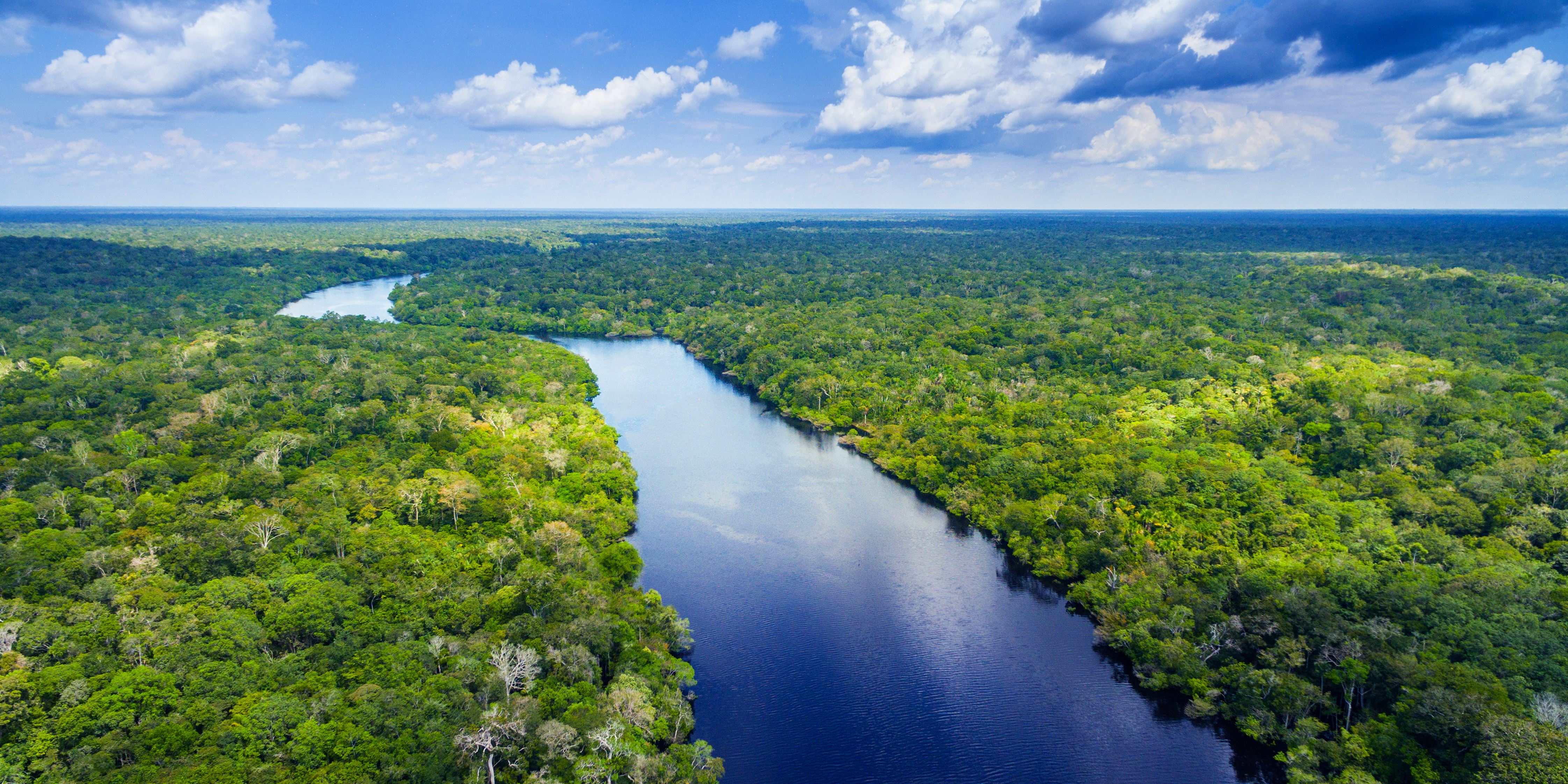 Почему через Амазонку до сих пор не построили мост / Путешествия и туризм /  iXBT Live