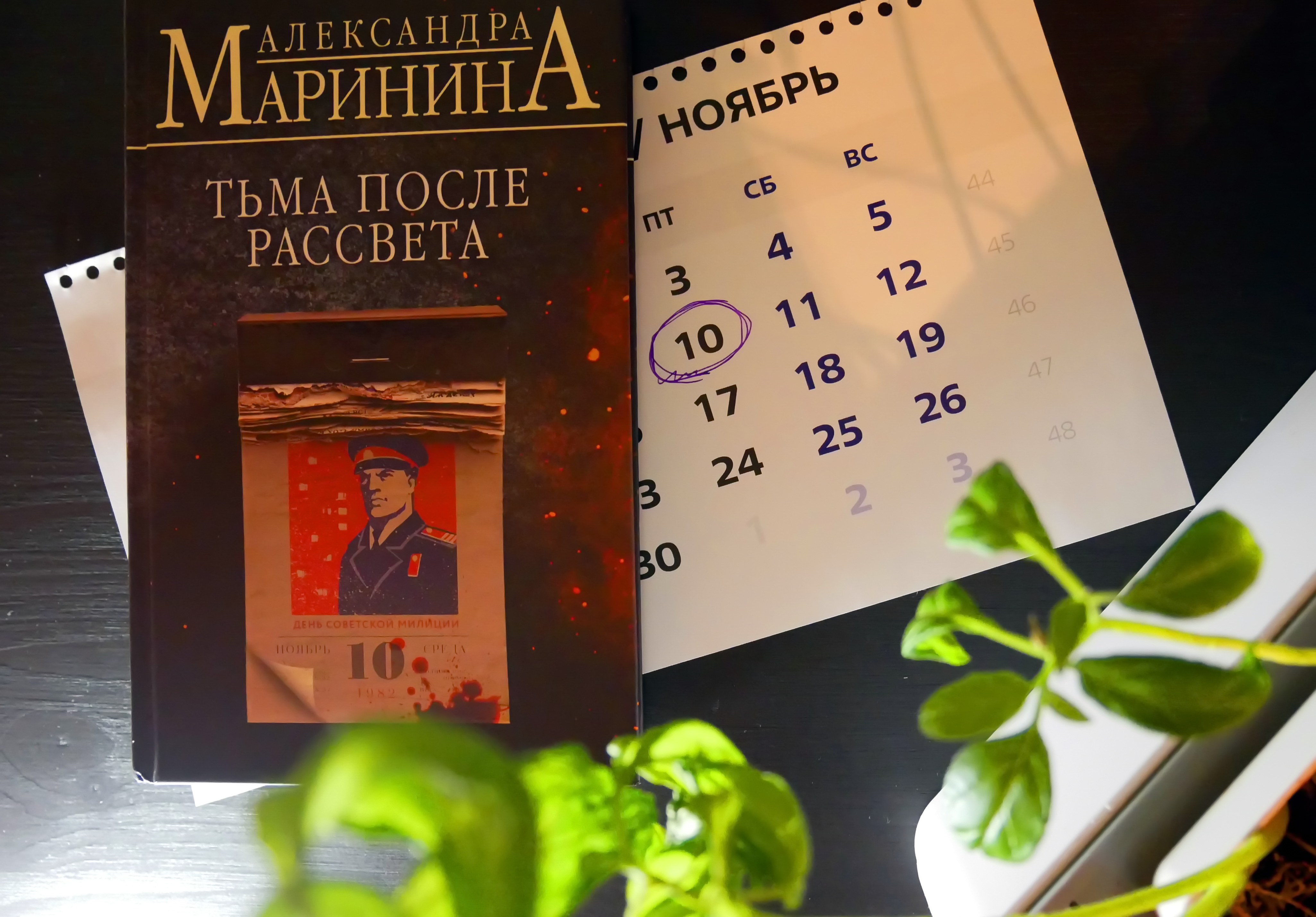 Больше, чем детектив. Книга Александры Марининой «Тьма после рассвета» /  Книги, комиксы / iXBT Live