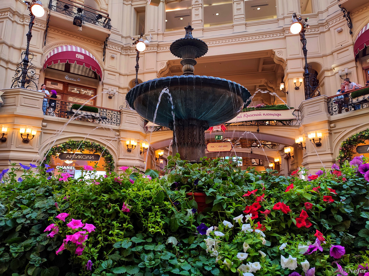 Flowers moscow. Фестиваль цветов в ГУМЕ. ГУМ снаружи. Цветочный фестиваль в Москве в ГУМЕ. Фестиваль цветов в Москве 2022 ГУМ.