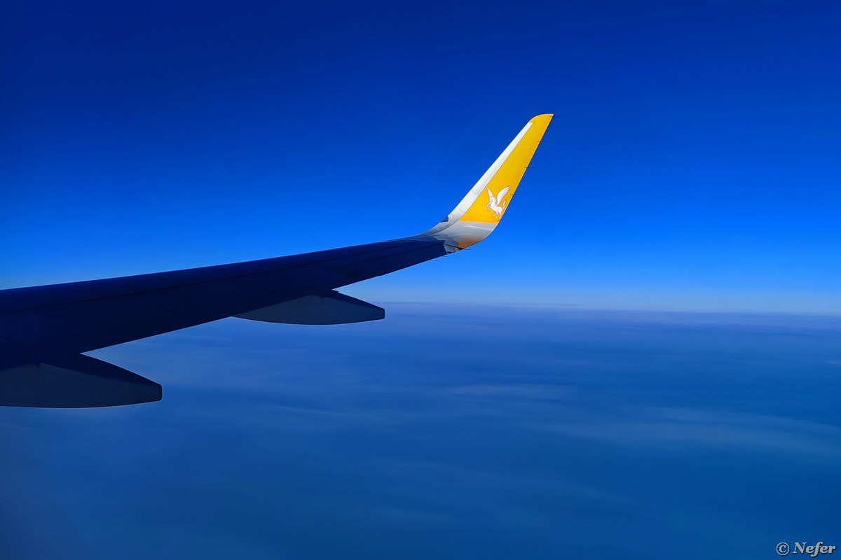 Pegasus Airlines: как проверяют ручную кладь, чем кормят на борту и другие  подробности / Путешествия и туризм / iXBT Live