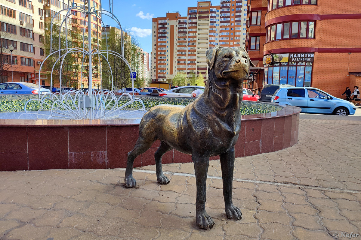 Южный Реутов: он относится к Подмосковью, но Москва через дорогу и метро  есть / Путешествия и туризм / iXBT Live