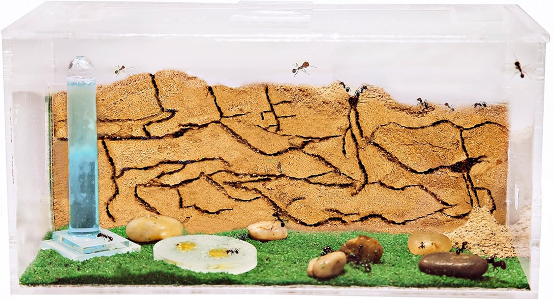 Как увлажнять муравьиную ферму?